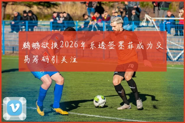 鹈鹕欲换2026年乐透签墨菲成为交易筹码引关注