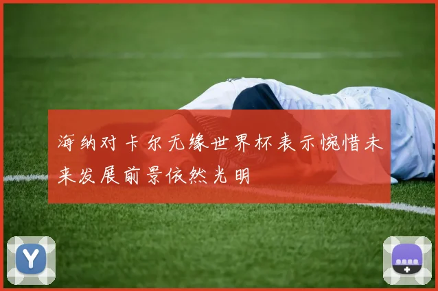海纳对卡尔无缘世界杯表示惋惜未来发展前景依然光明