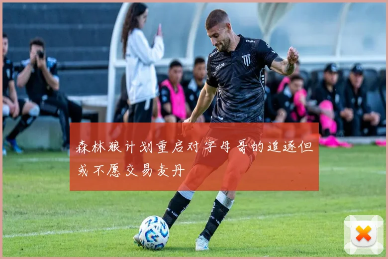 森林狼计划重启对字母哥的追逐但或不愿交易麦丹