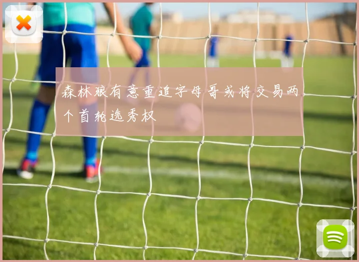森林狼有意重追字母哥或将交易两个首轮选秀权